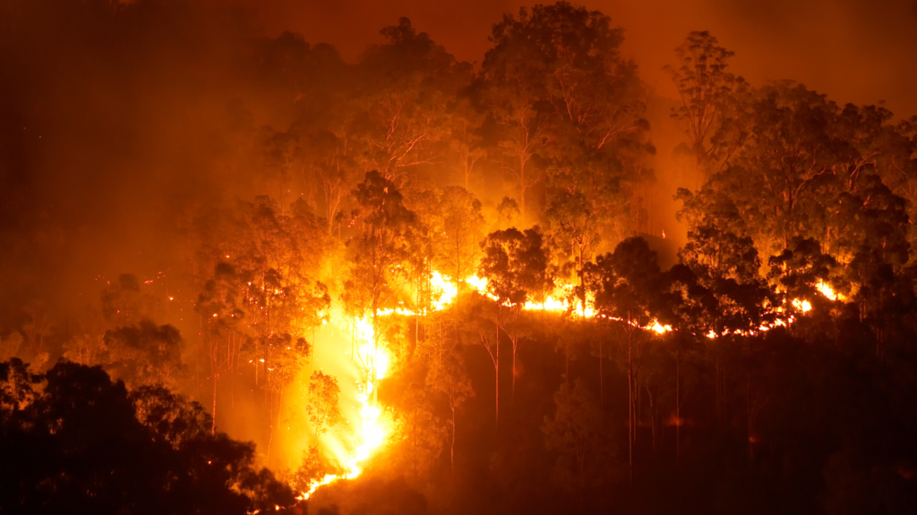imagen de incendio forestal